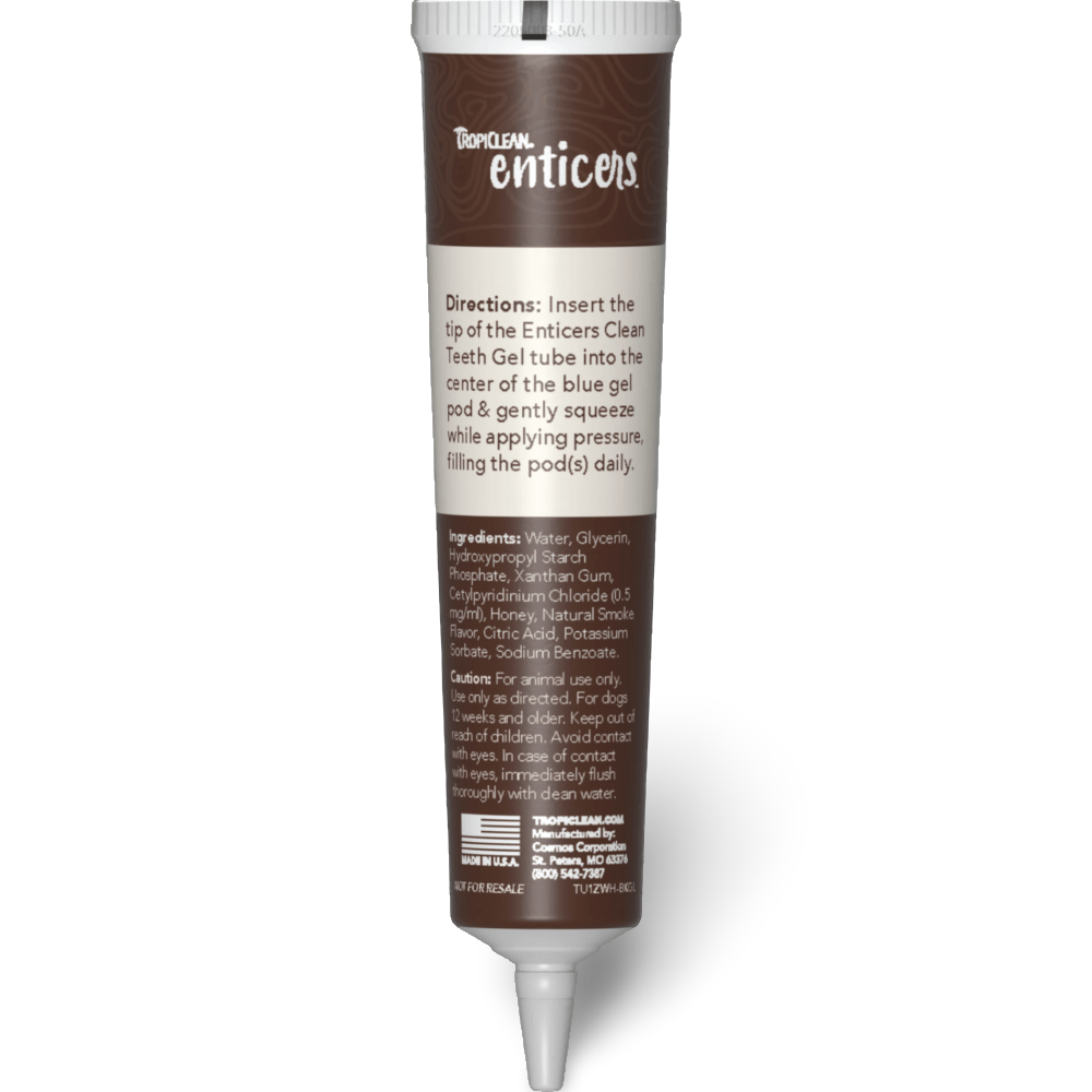 Enticers Kong Dental Ball And Beef Brisket Gel 14 Enticers Kong Dental Ball And Beef Brisket Gel