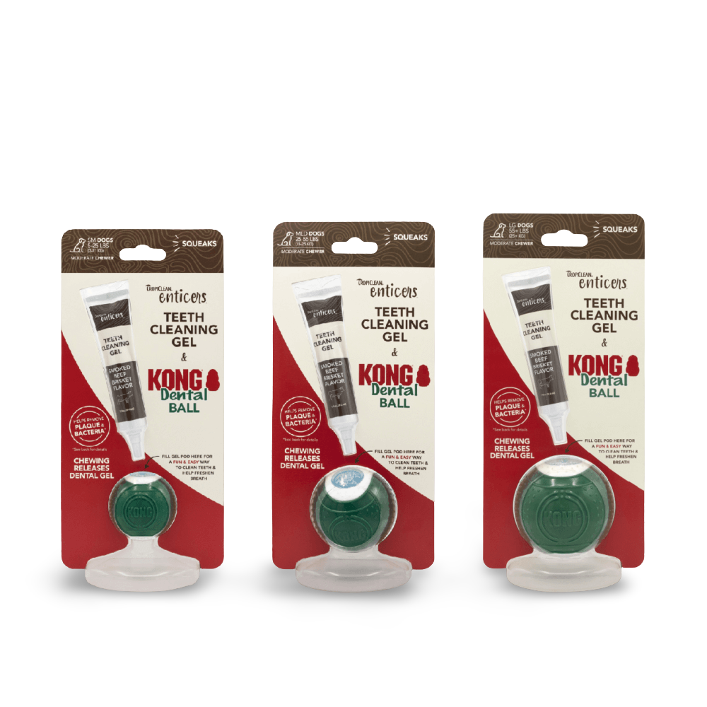 Enticers Kong Dental Ball And Beef Brisket Gel 2 Enticers Kong Dental Ball And Beef Brisket Gel