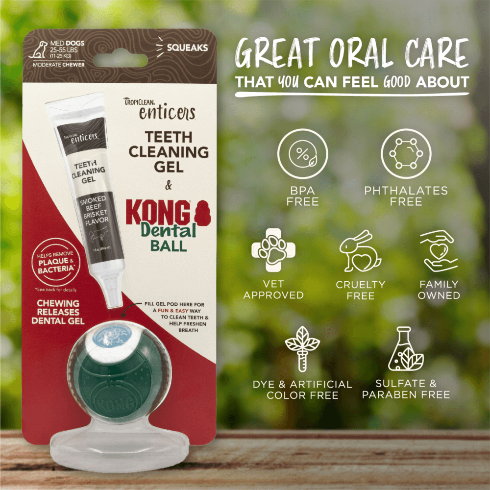Enticers Kong Dental Ball And Beef Brisket Gel 3 Enticers Kong Dental Ball And Beef Brisket Gel