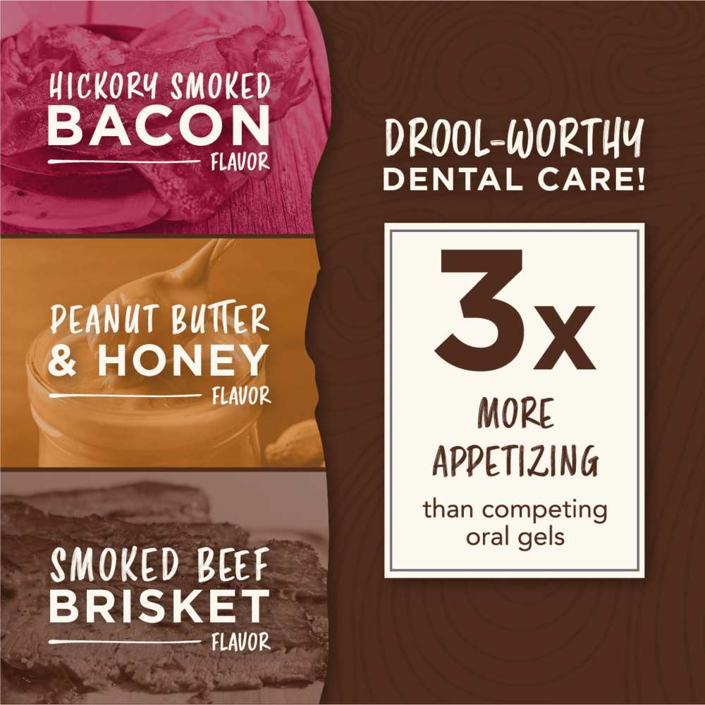 Enticers Kong Dental Ball And Beef Brisket Gel 7 Enticers Kong Dental Ball And Beef Brisket Gel