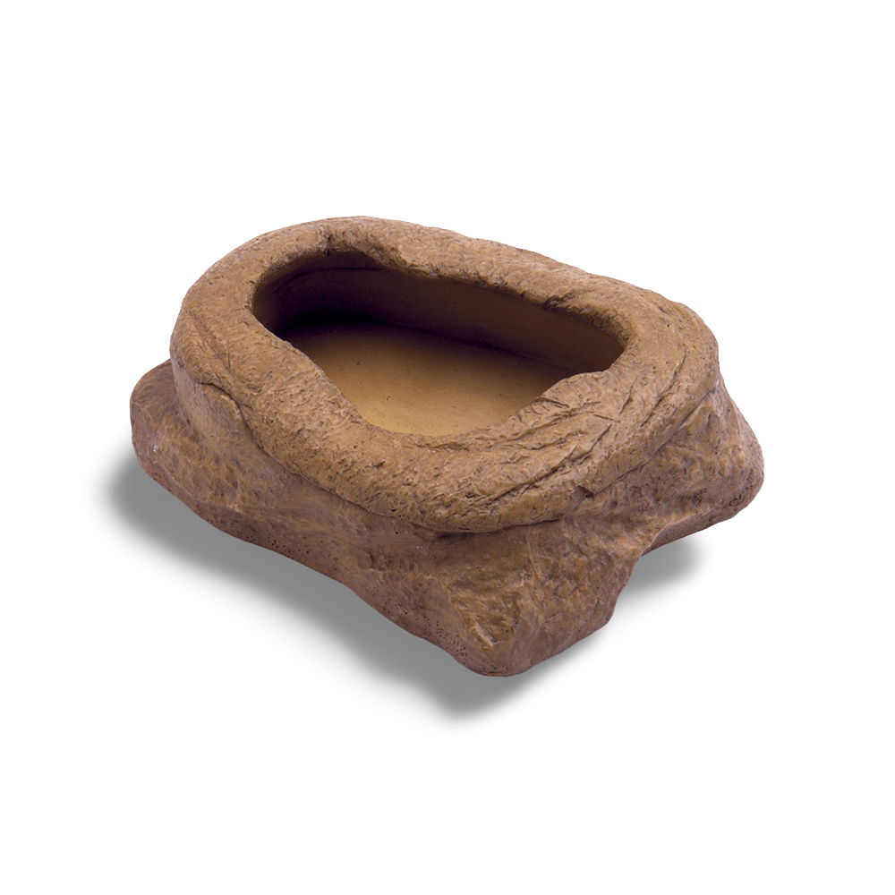 Worm Dish Mealworm Feeder