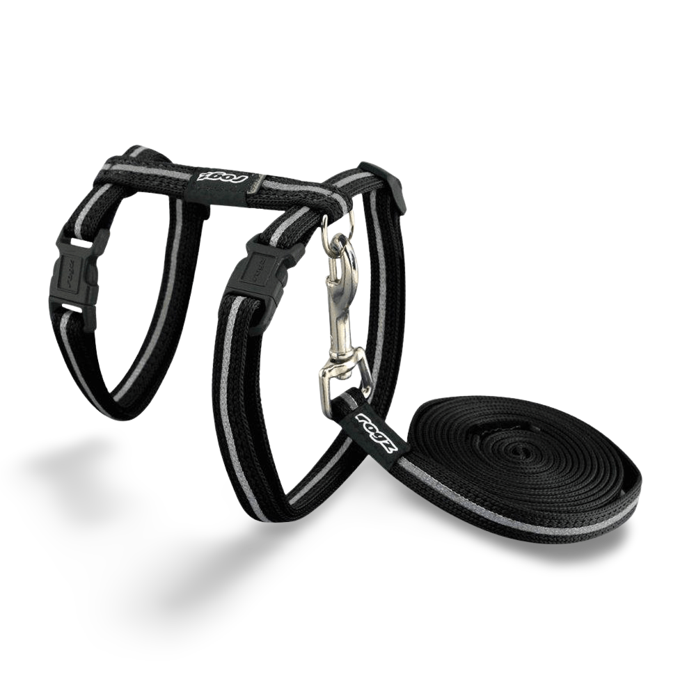 Alleycat Harness Lead Black