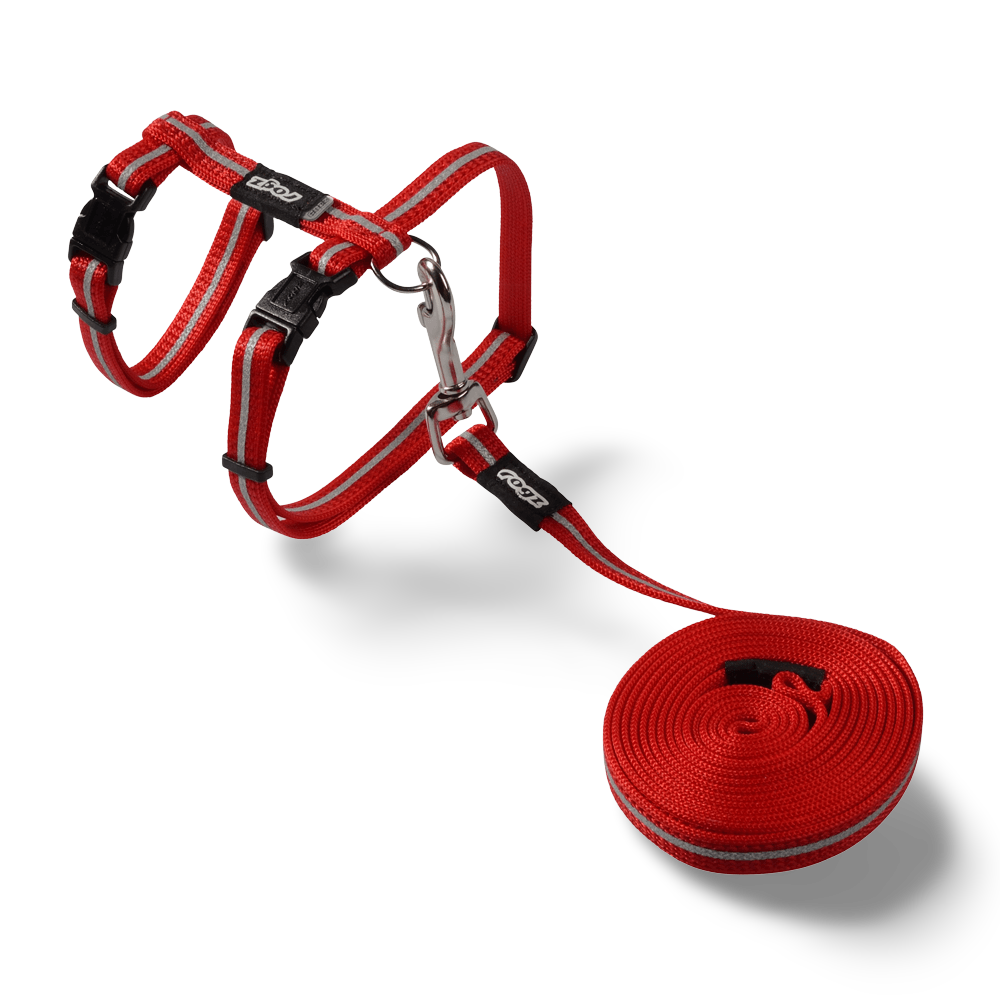 Alleycat Harness Lead Red