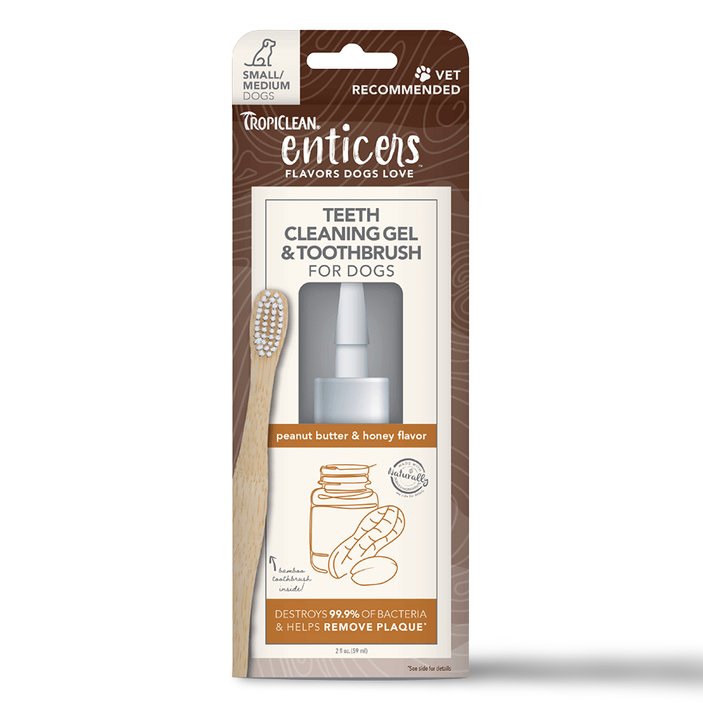 Enticers Teeth Cleaning Kit Peanut Butter And Honey