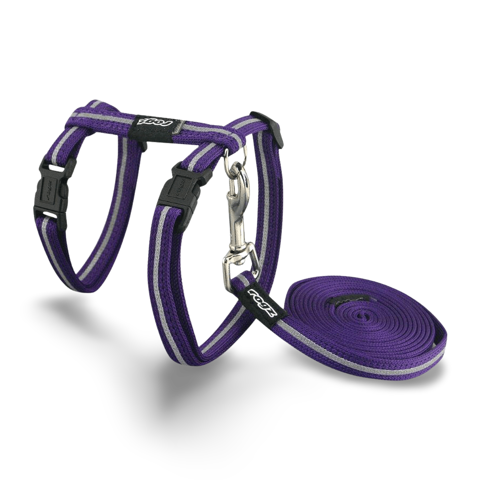 Alleycat Harness Lead Purple