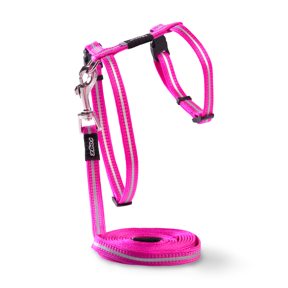 Alleycat Harness Lead Pink