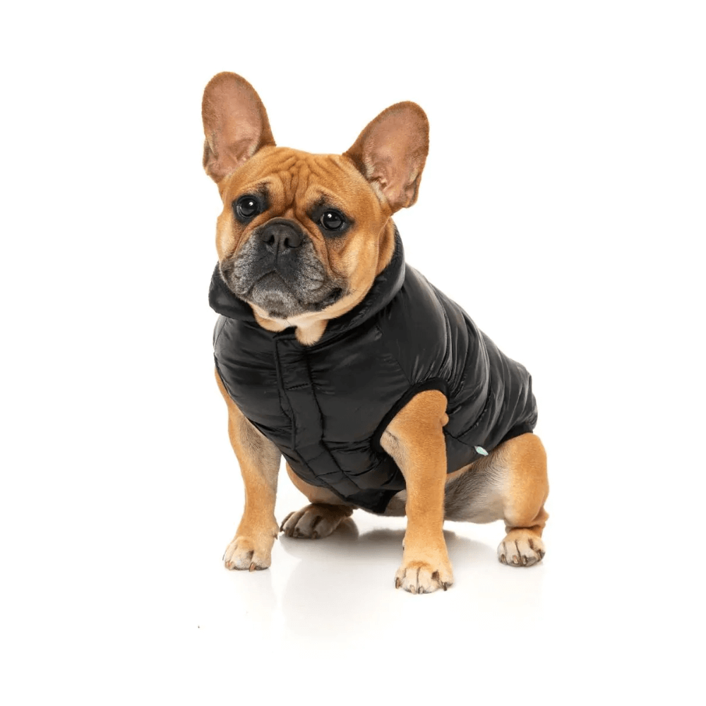 South Harlem Jacket Black 1 South Harlem Jacket Black