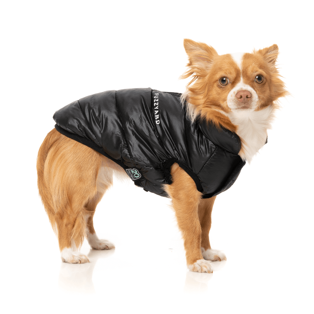 South Harlem Jacket Black 5 South Harlem Jacket Black