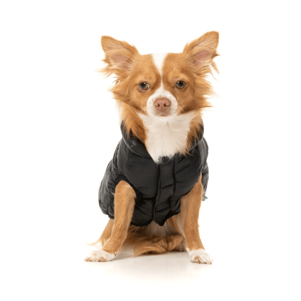 South Harlem Jacket Black 6 South Harlem Jacket Black