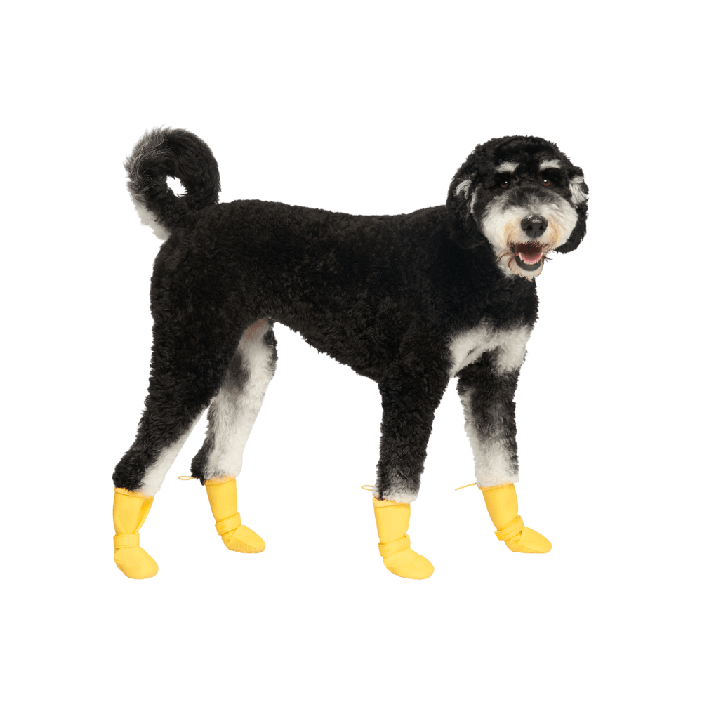 Waterproof Rain Boots Dog Yellow 1 Waterproof Rain Boots Dog Yellow