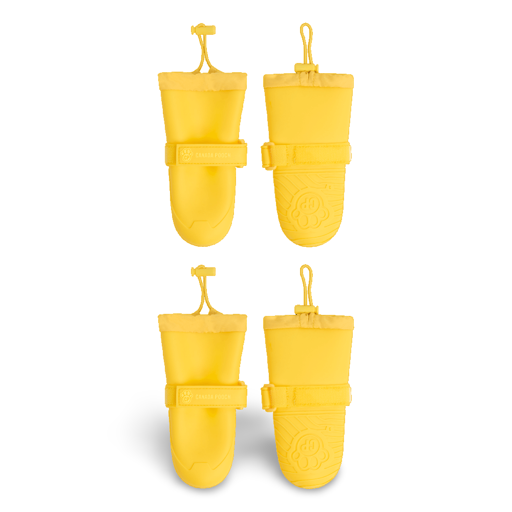Waterproof Rain Boots Dog Yellow 2 Waterproof Rain Boots Dog Yellow