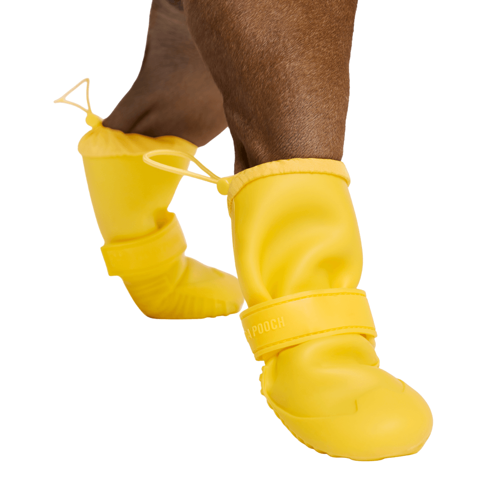 Waterproof Rain Boots Dog Yellow 3 Waterproof Rain Boots Dog Yellow