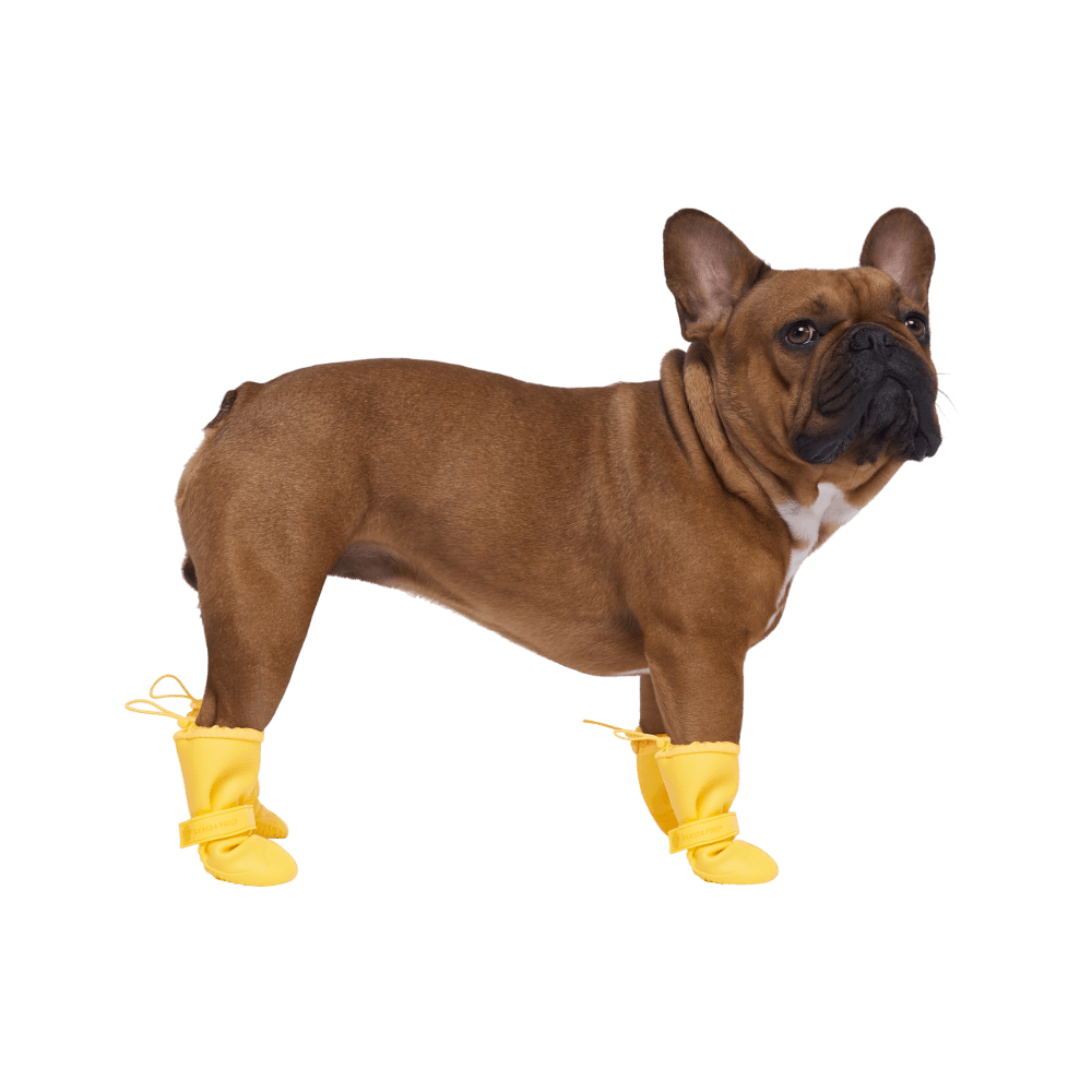 Waterproof Rain Boots Dog Yellow 4 Waterproof Rain Boots Dog Yellow