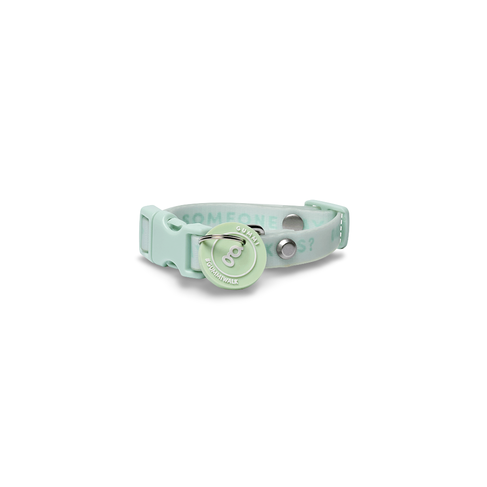 Slick Puppy Collar Mint 1 Slick Puppy Collar Mint