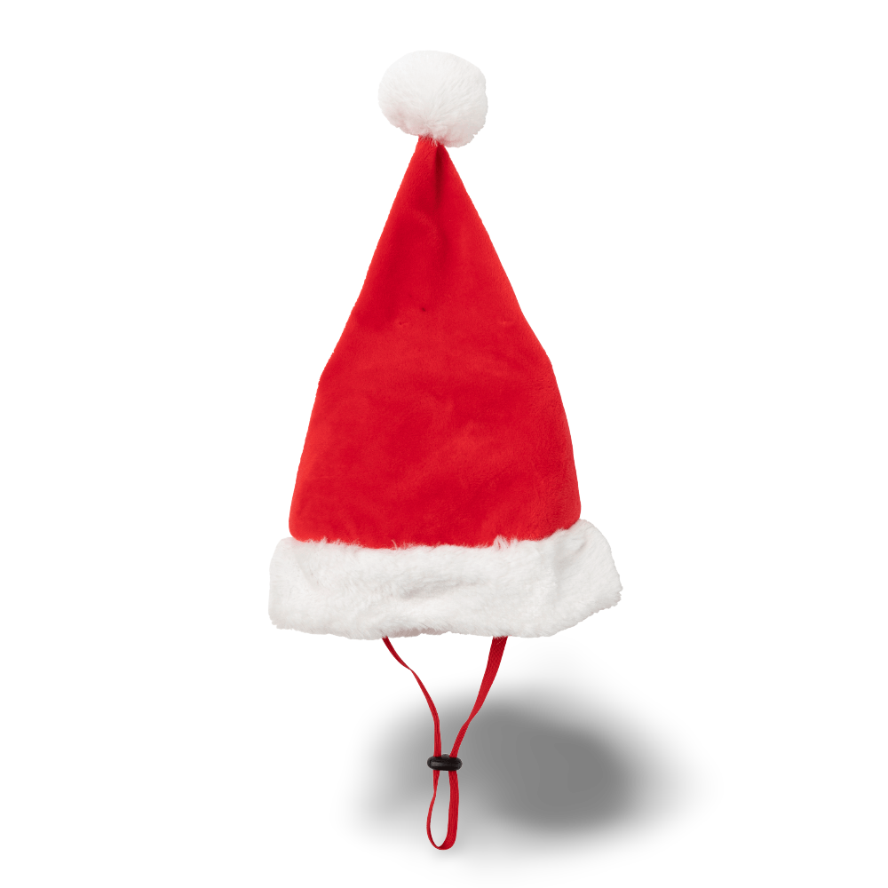 Dog Santa Hat