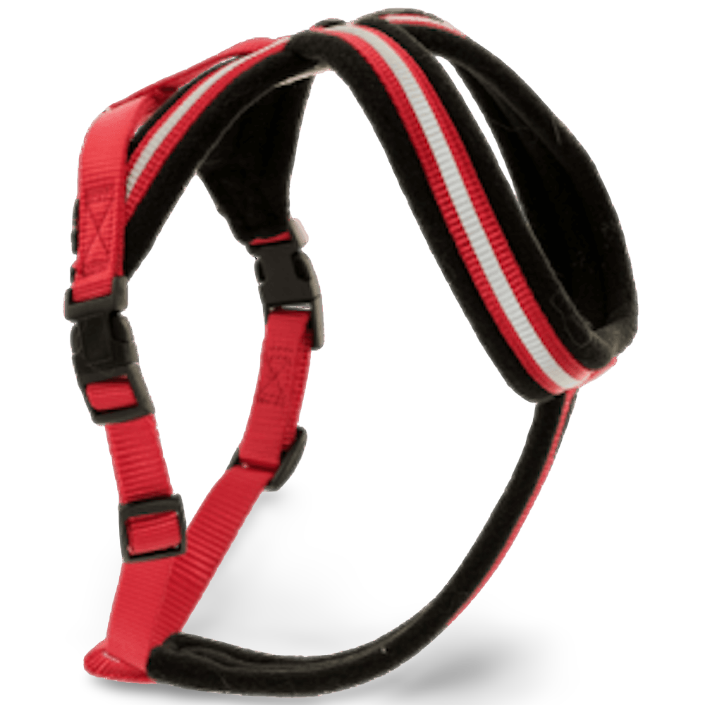 Halti Comfy Dog Harness 2 Halti Comfy Dog Harness