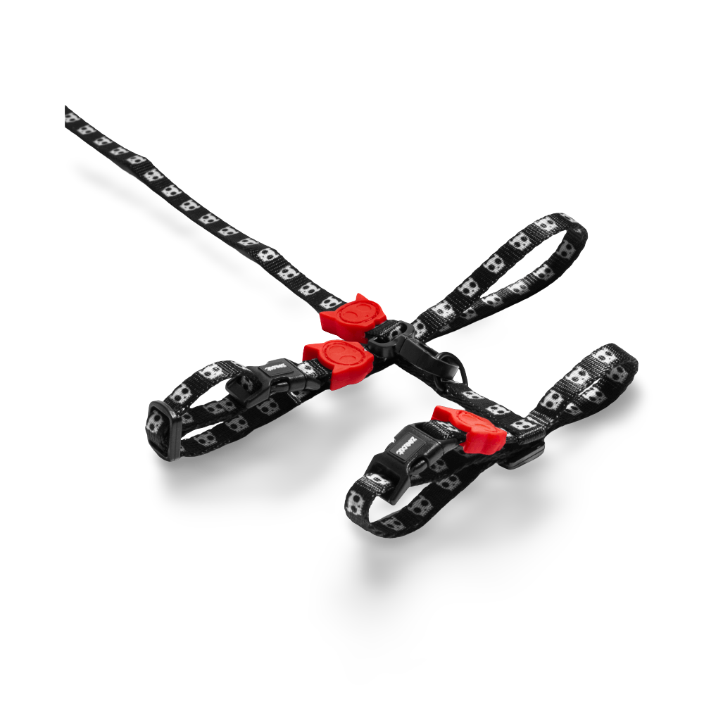 Harness And Leash Set Skull