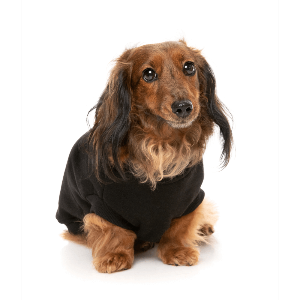 Black Allday Dog Jumper