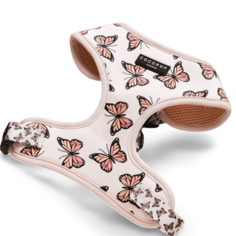 Adjustable Neck Dog Harness Boujee Butterfly 1 Adjustable Neck Dog Harness Boujee Butterfly