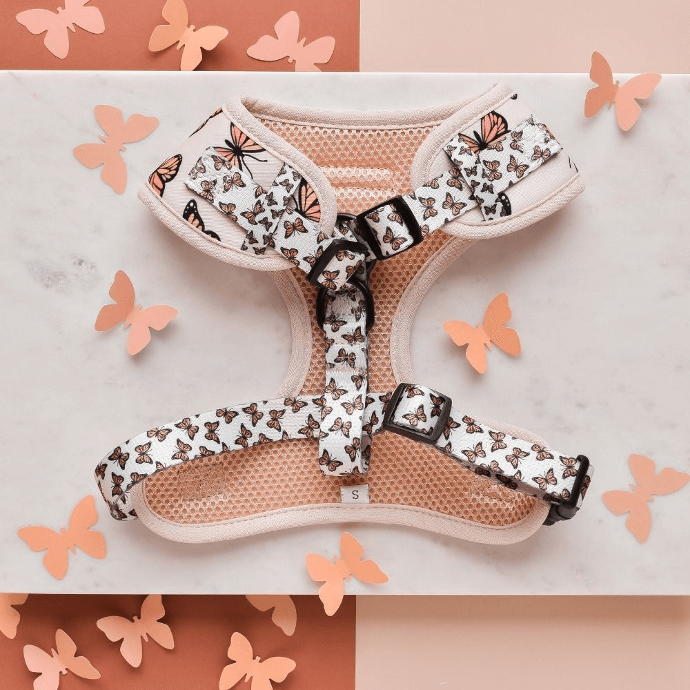 Adjustable Neck Dog Harness Boujee Butterfly 2 Adjustable Neck Dog Harness Boujee Butterfly