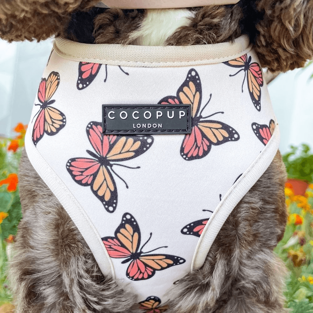 Adjustable Neck Dog Harness Boujee Butterfly 3 Adjustable Neck Dog Harness Boujee Butterfly