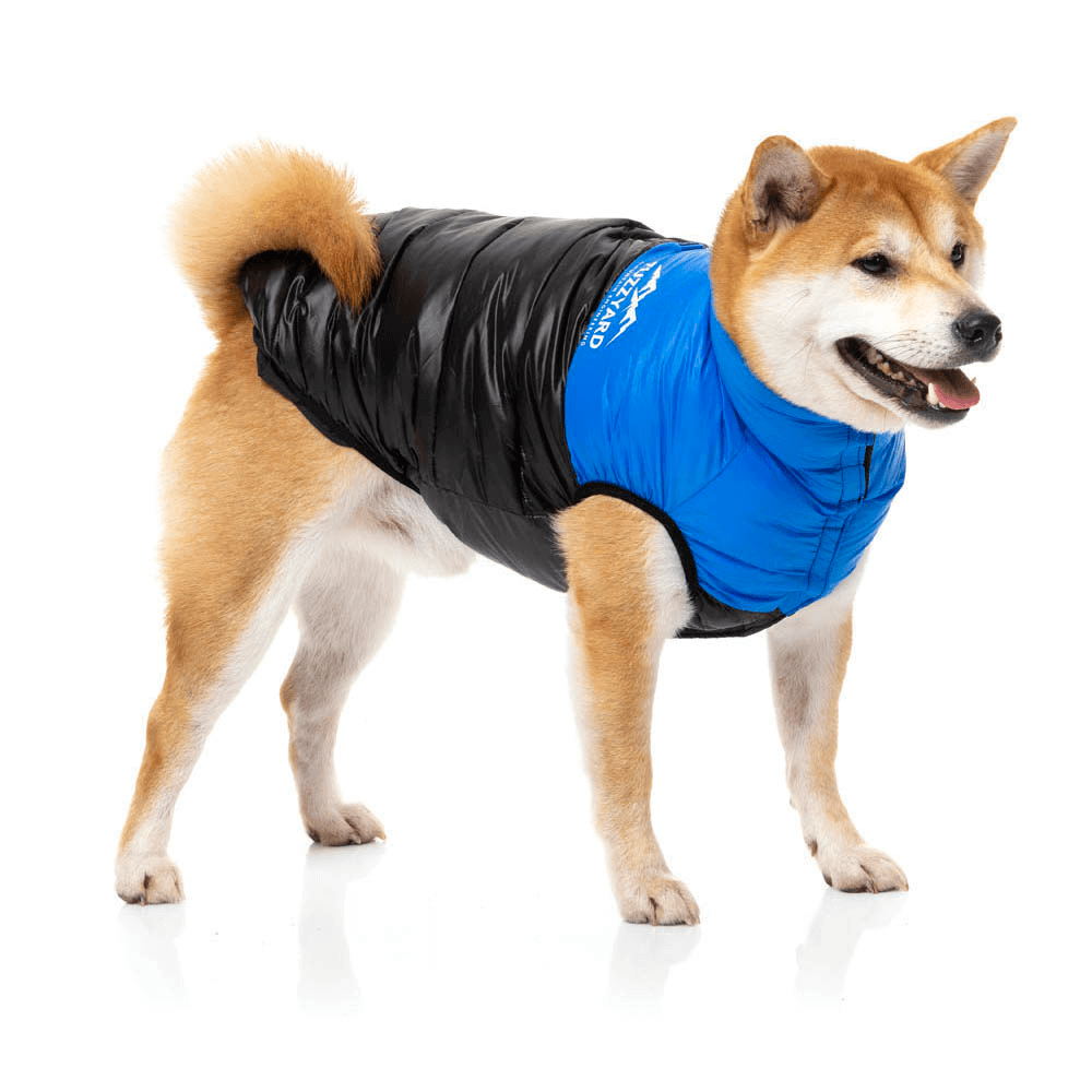 East Harlem Puffer Jacket Blue 1 East Harlem Puffer Jacket Blue