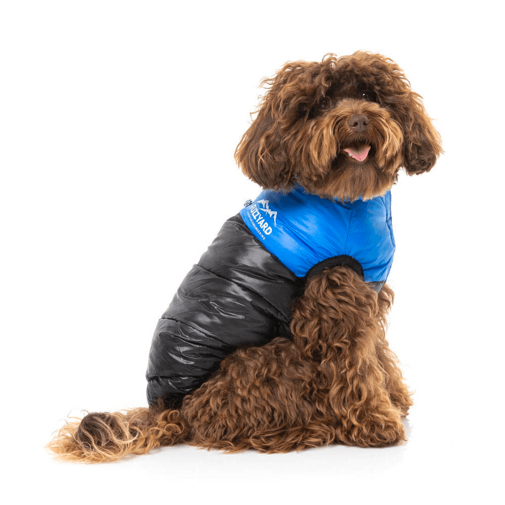 East Harlem Puffer Jacket Blue 4 East Harlem Puffer Jacket Blue