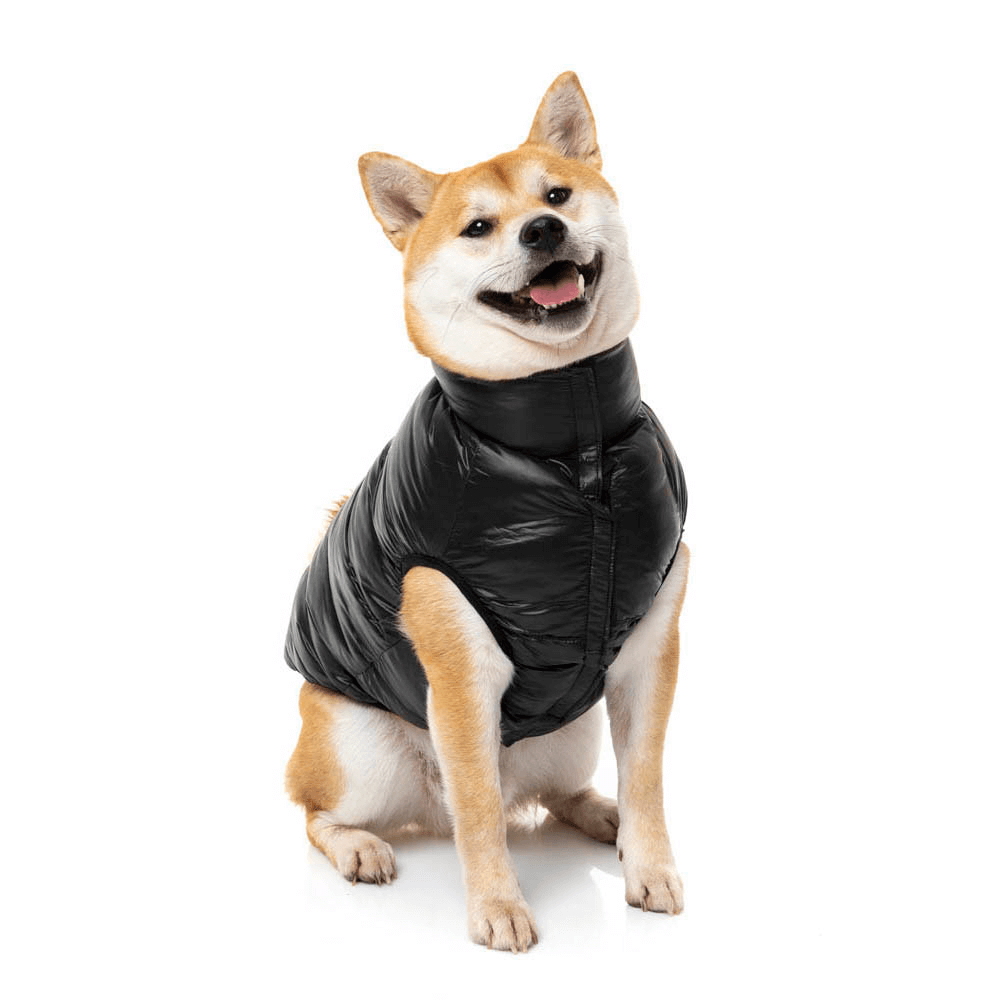 East Harlem Puffer Jacket Black 1 East Harlem Puffer Jacket Black