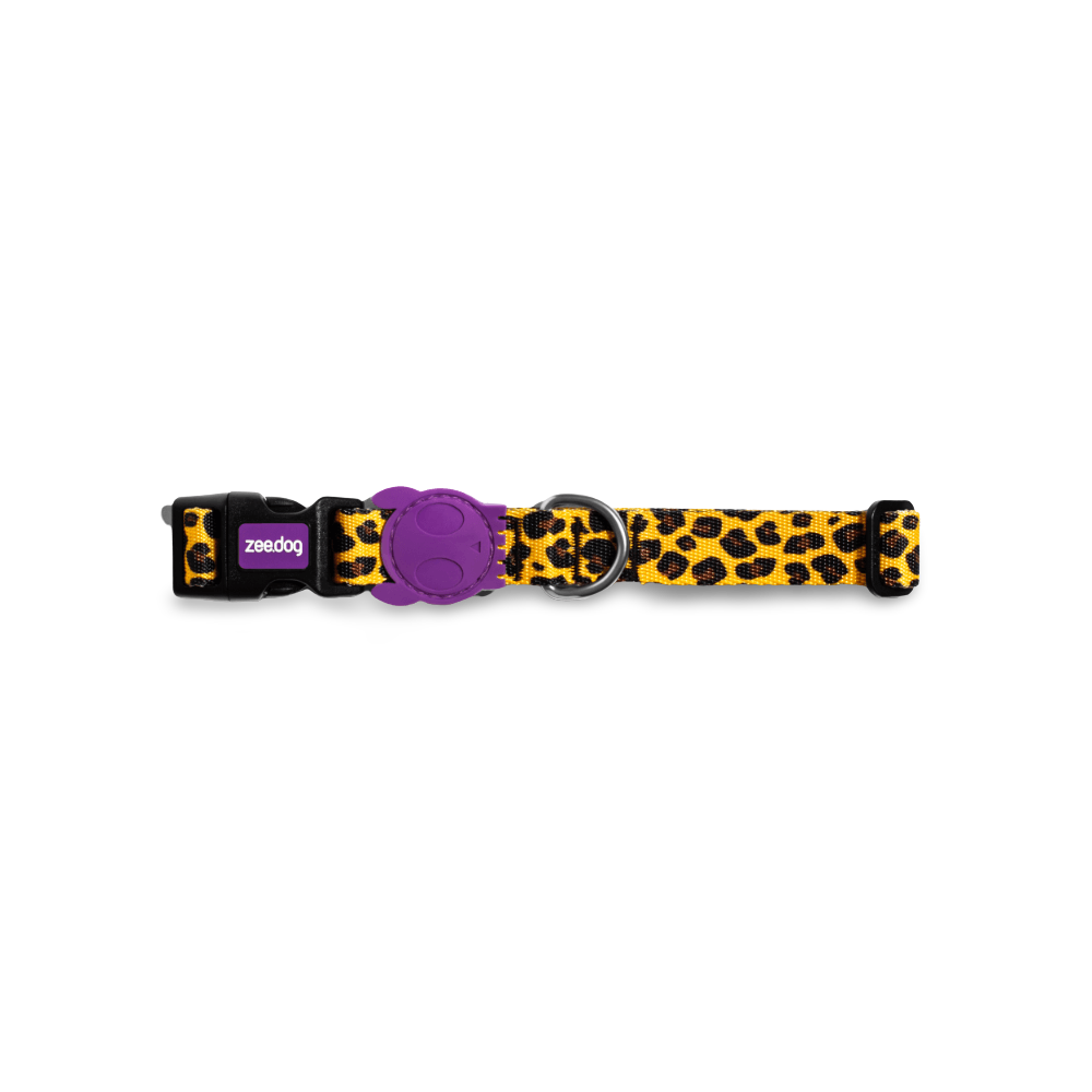Collar Honey