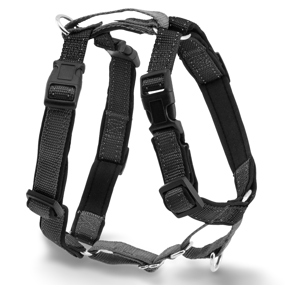 3 In 1 Dog Harness And Car Restraint Black