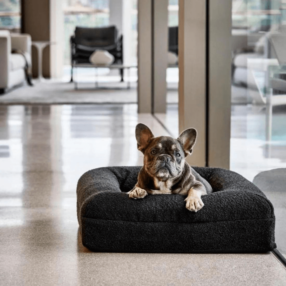 Cover For Orthopaedic Dog Bed Boucle Black 1 Cover For Orthopaedic Dog Bed Boucle Black