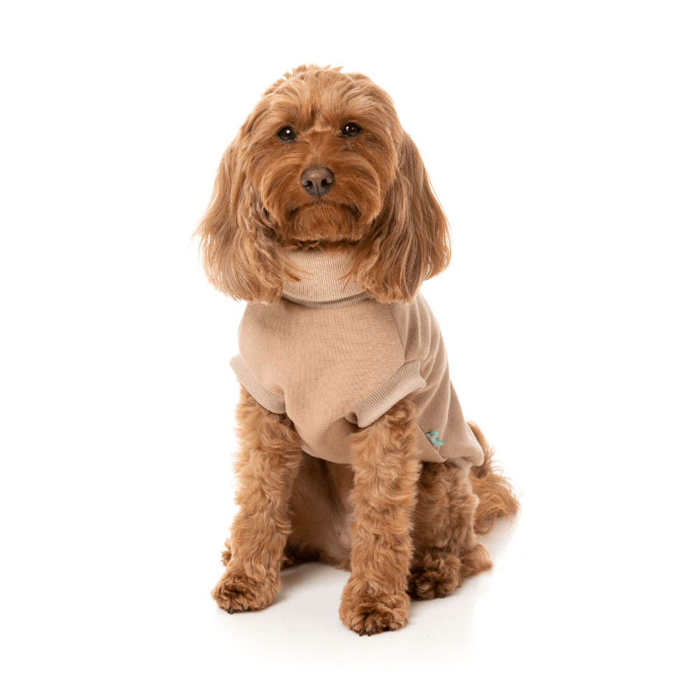 Beige Stevie Dog Jumper