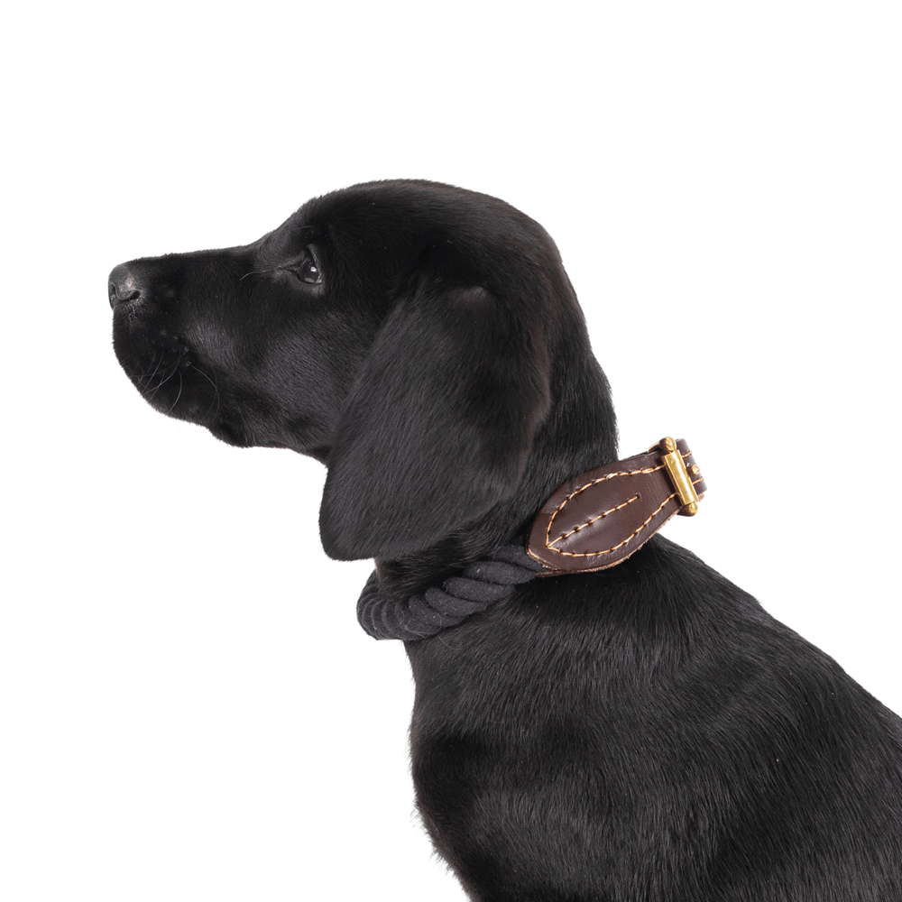 Leather And Brass Rope Collar Black 3 Leather And Brass Rope Collar Black