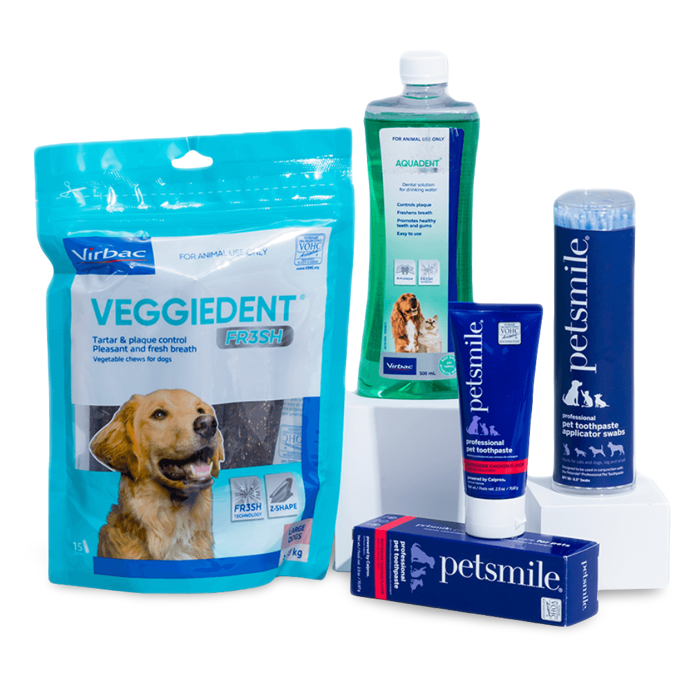 Dog Dental Health Starter Kit