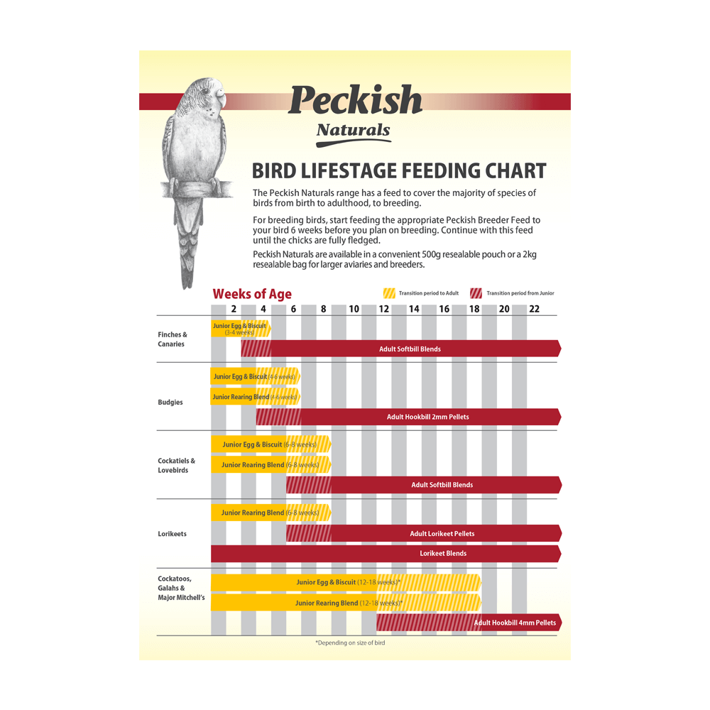 Naturals Adult Hookbill Small Pellets 5 Naturals Adult Hookbill Small Pellets
