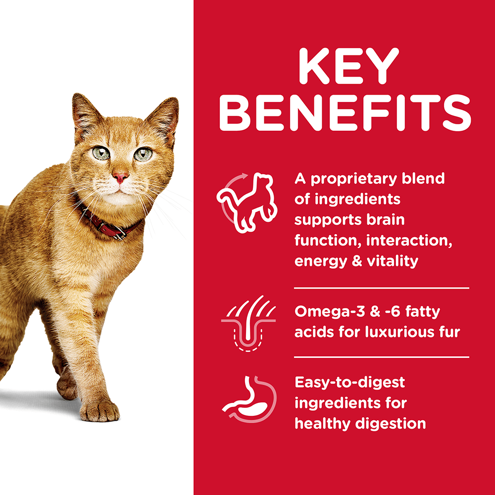Senior 7 Plus Youthful Vitality Dry Cat Food 3 Senior 7 Plus Youthful Vitality Dry Cat Food