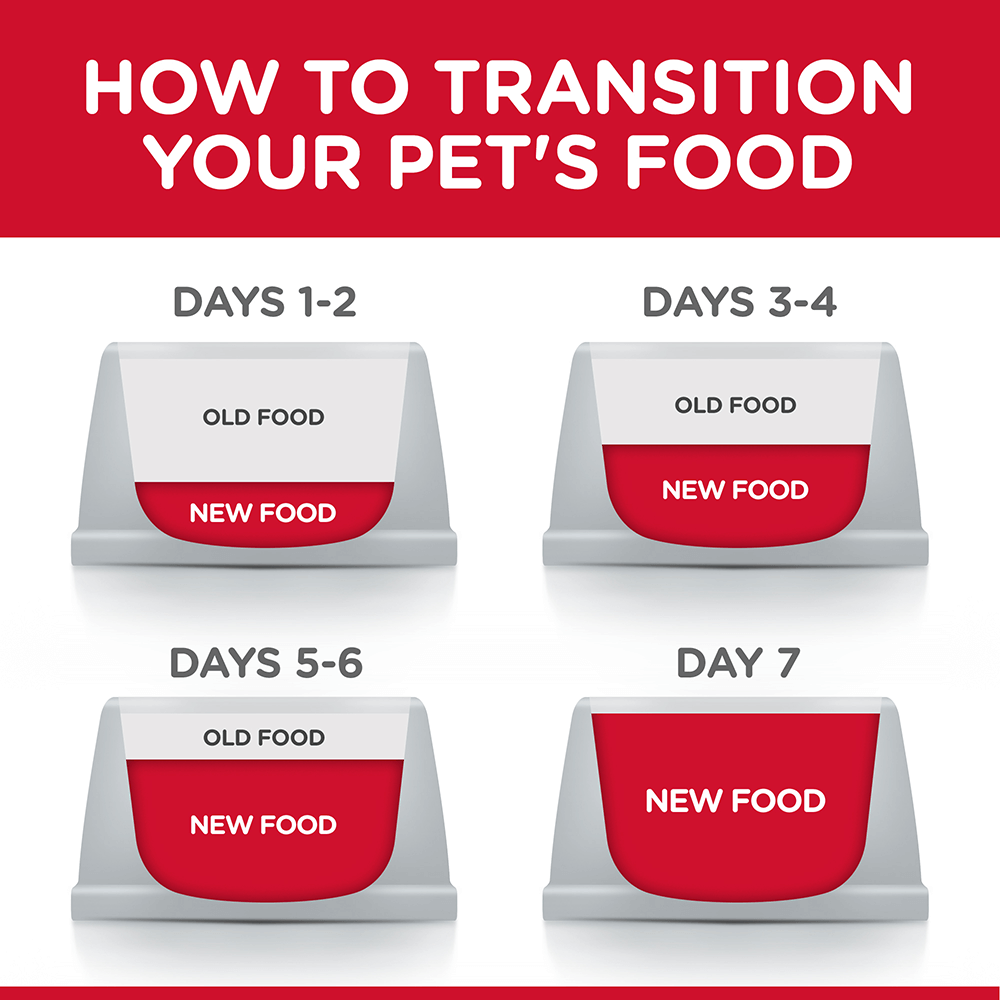 Senior 7 Plus Youthful Vitality Dry Cat Food 7 Senior 7 Plus Youthful Vitality Dry Cat Food