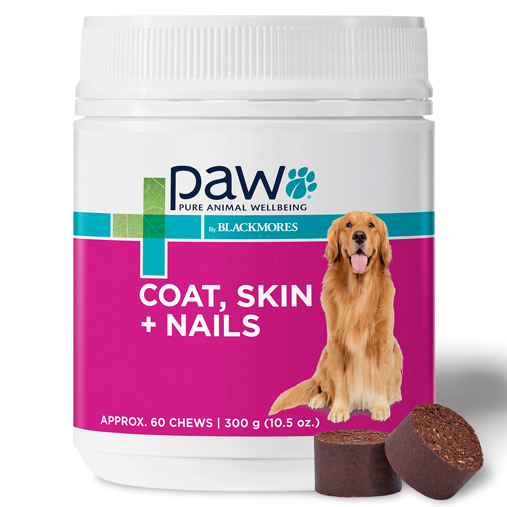 Coat Skin & Nails Chews for Dogs