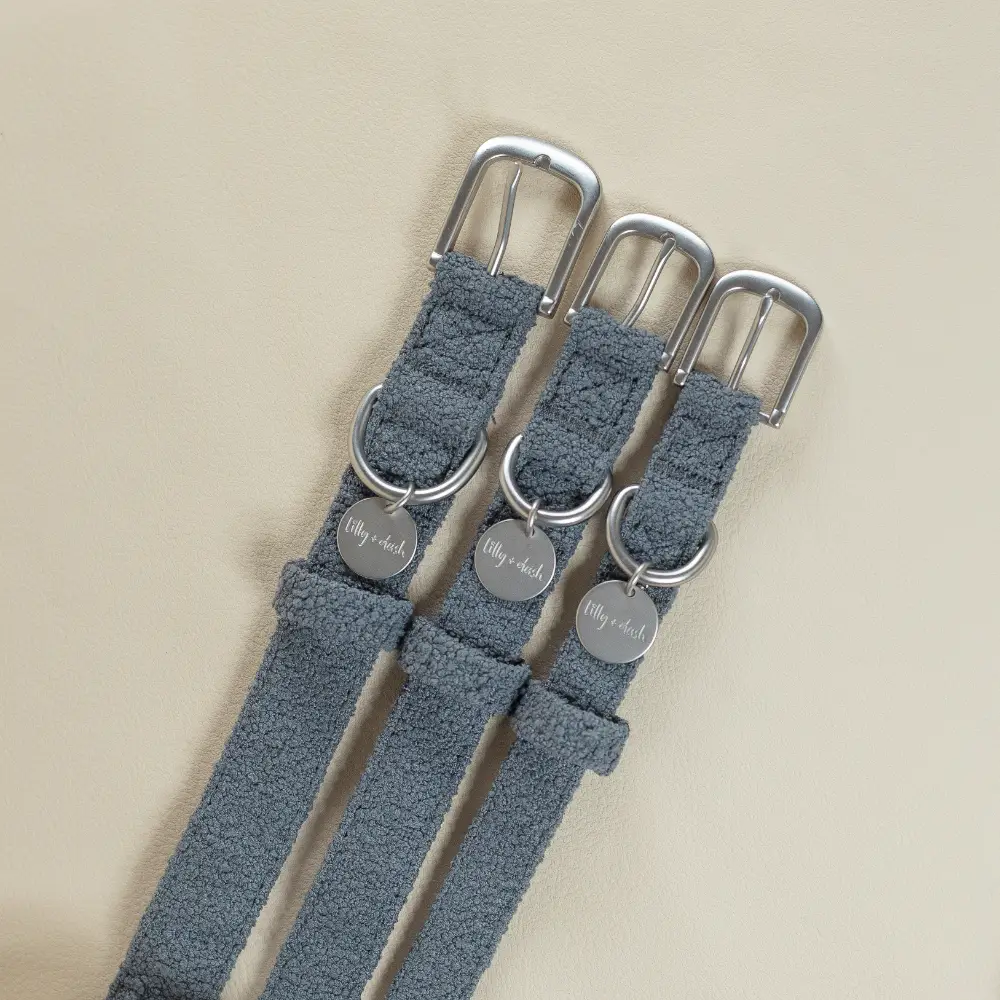 Collar Medium Dog Charcoal Collar 3 Collar Medium Dog Charcoal Collar