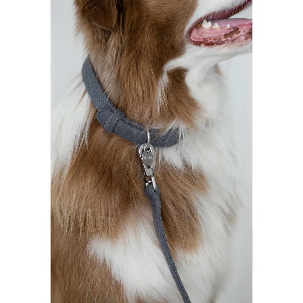 Collar Medium Dog Charcoal Collar 4 Collar Medium Dog Charcoal Collar
