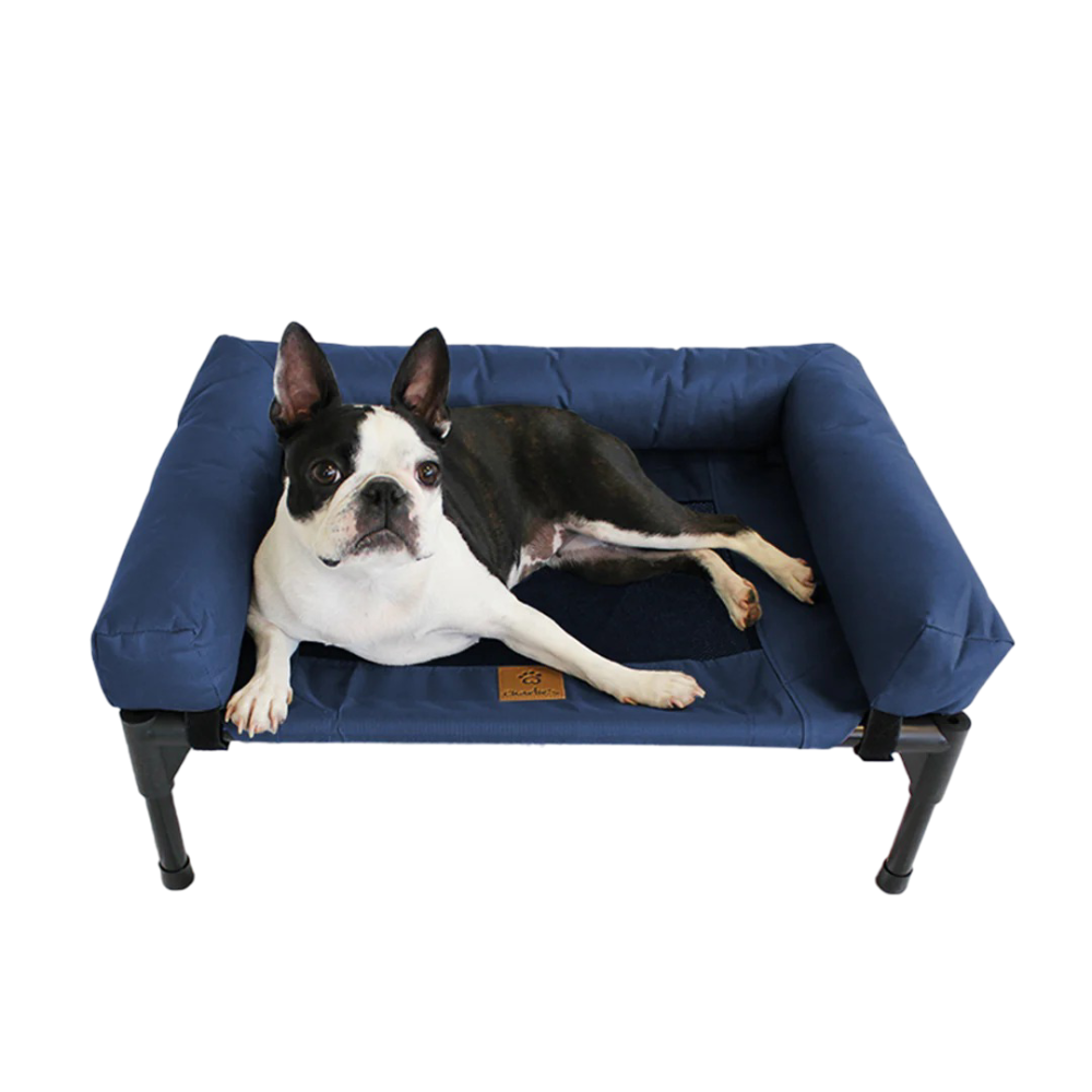 Elevated Trampoline Bolster Dog Sofa Bed in Blue 1 Elevated Trampoline Bolster Dog Sofa Bed in Blue