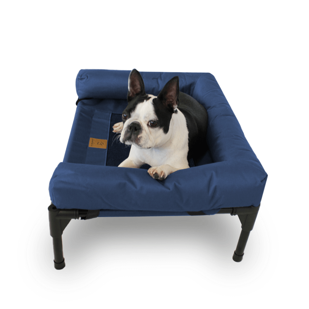 Elevated Trampoline Bolster Dog Sofa Bed in Blue 6 Elevated Trampoline Bolster Dog Sofa Bed in Blue