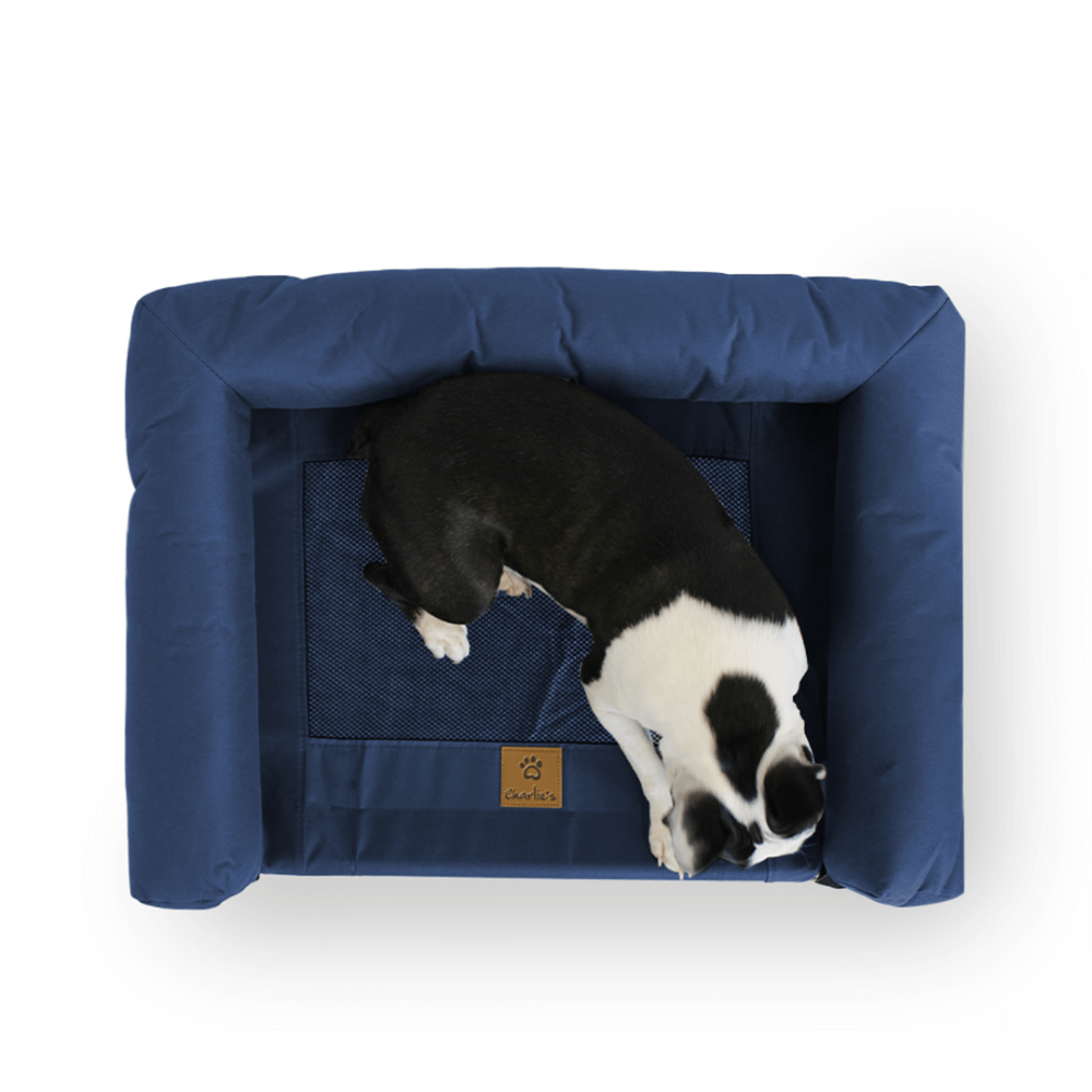 Elevated Trampoline Bolster Dog Sofa Bed in Blue 7 Elevated Trampoline Bolster Dog Sofa Bed in Blue