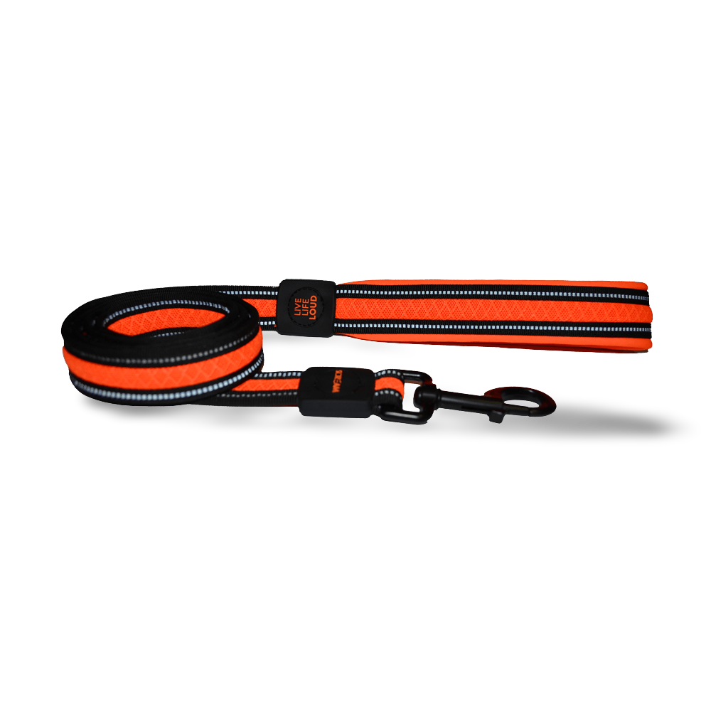 Reflective Padded Leash Orange