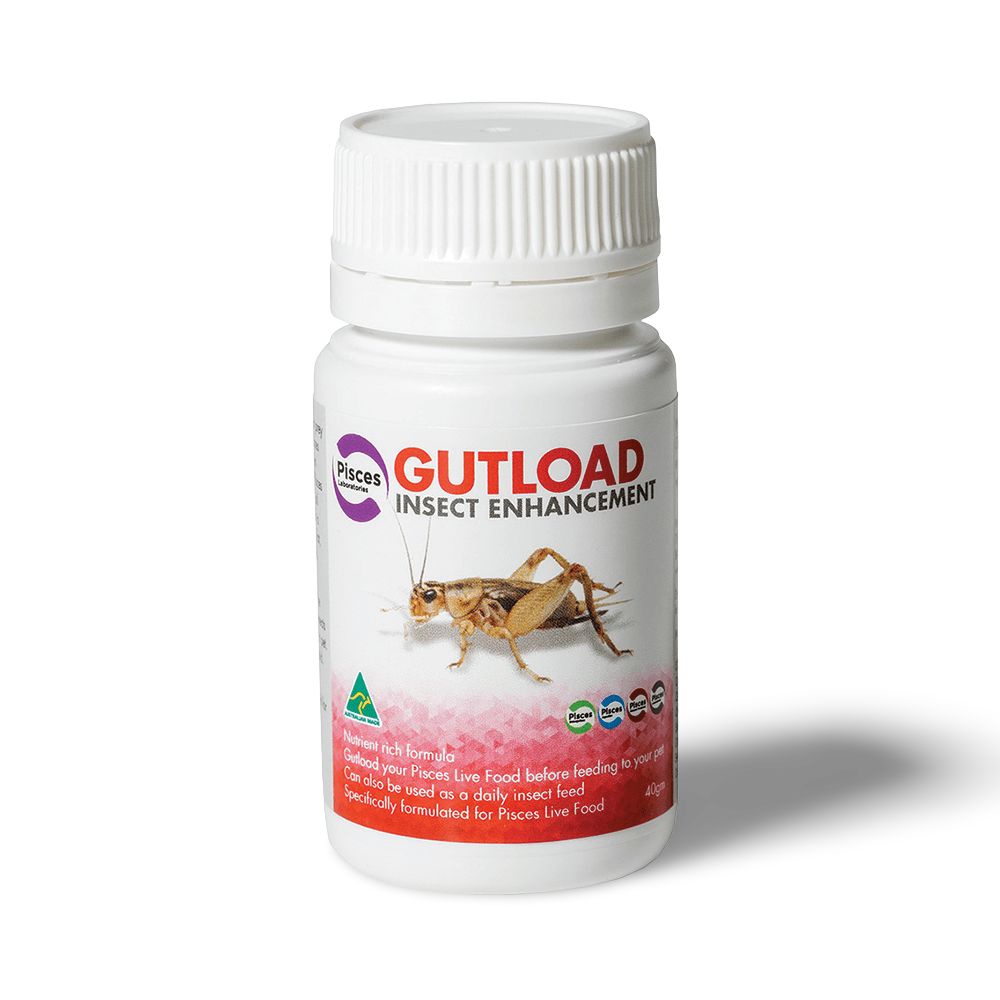 Laboratories Gutload Insect Enhancement