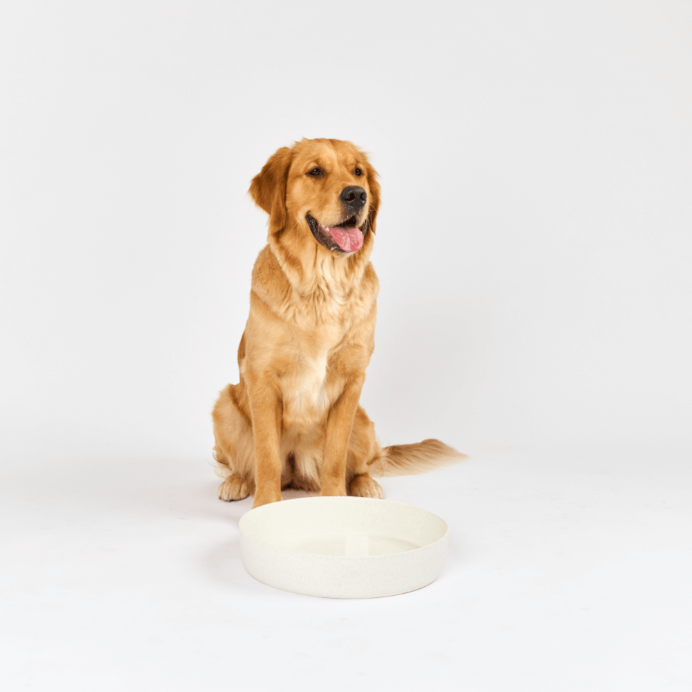 Dog Outdoor Water Bowl Milk Speckle 4 Dog Outdoor Water Bowl Milk Speckle