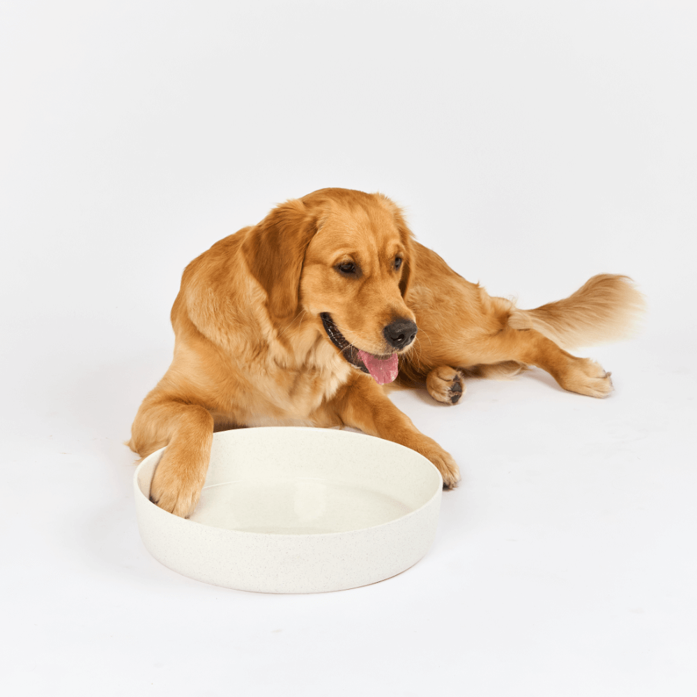 Dog Outdoor Water Bowl Milk Speckle 5 Dog Outdoor Water Bowl Milk Speckle