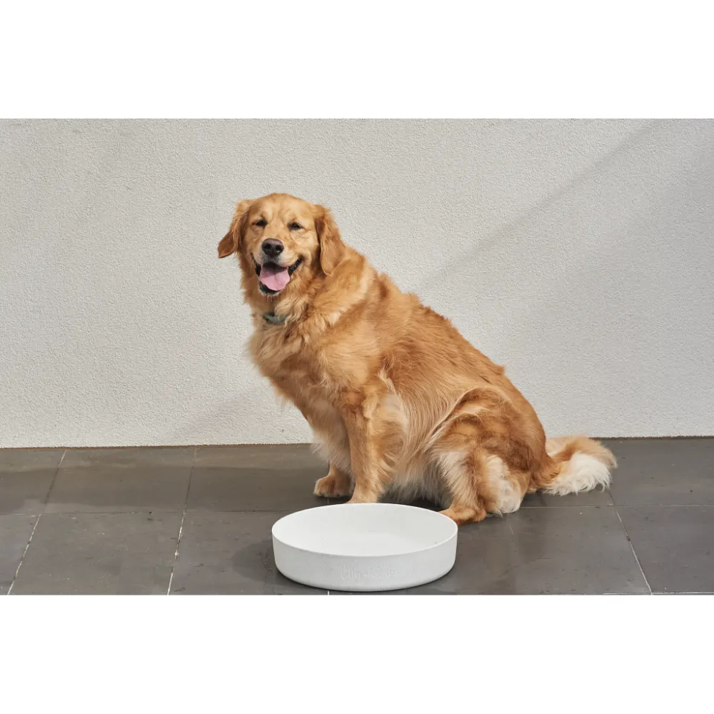 Dog Outdoor Water Bowl Milk Speckle 6 Dog Outdoor Water Bowl Milk Speckle