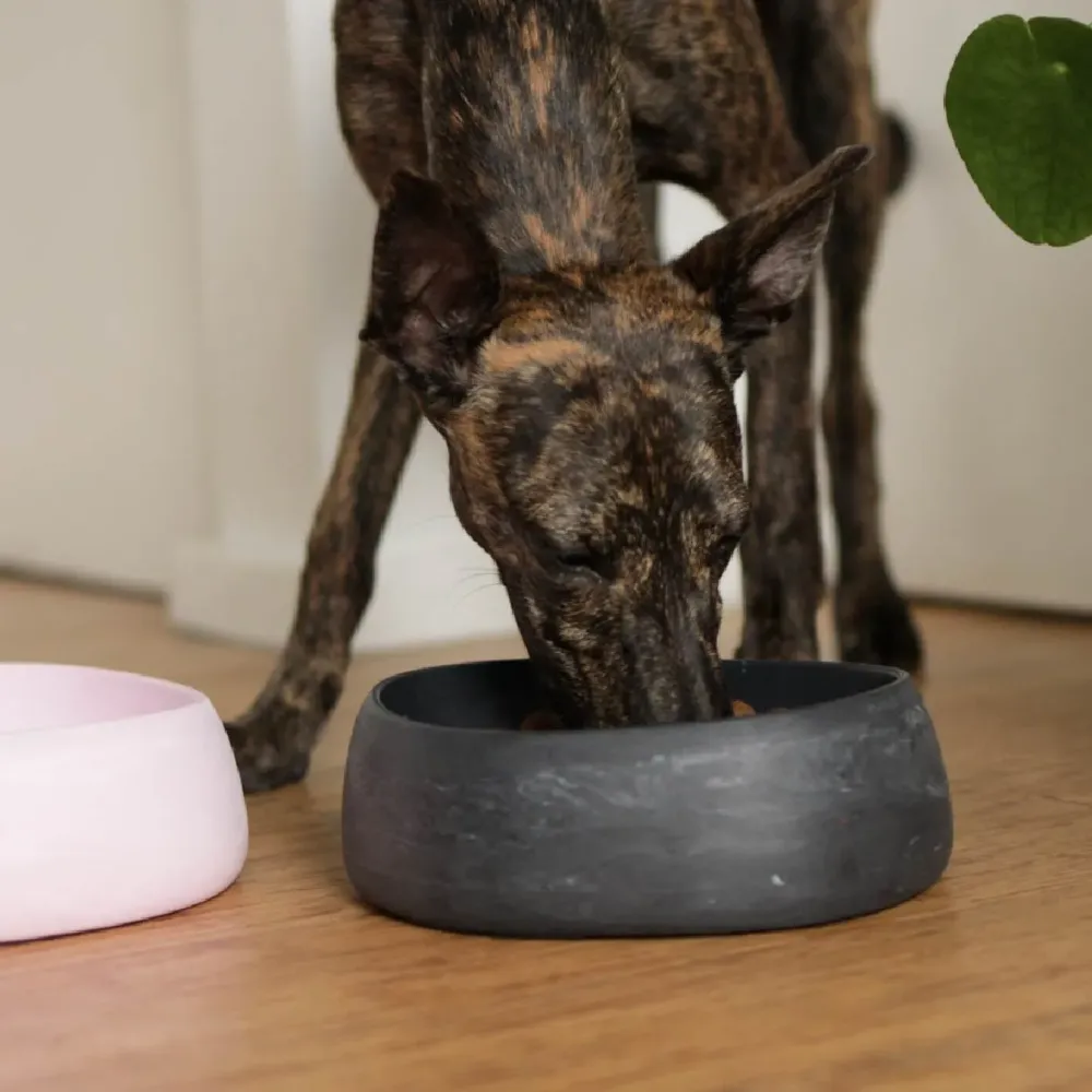 The Better Bowl Australian Recycled Plastic Dog Bowl Charcoal 5 The Better Bowl Australian Recycled Plastic Dog Bowl Charcoal