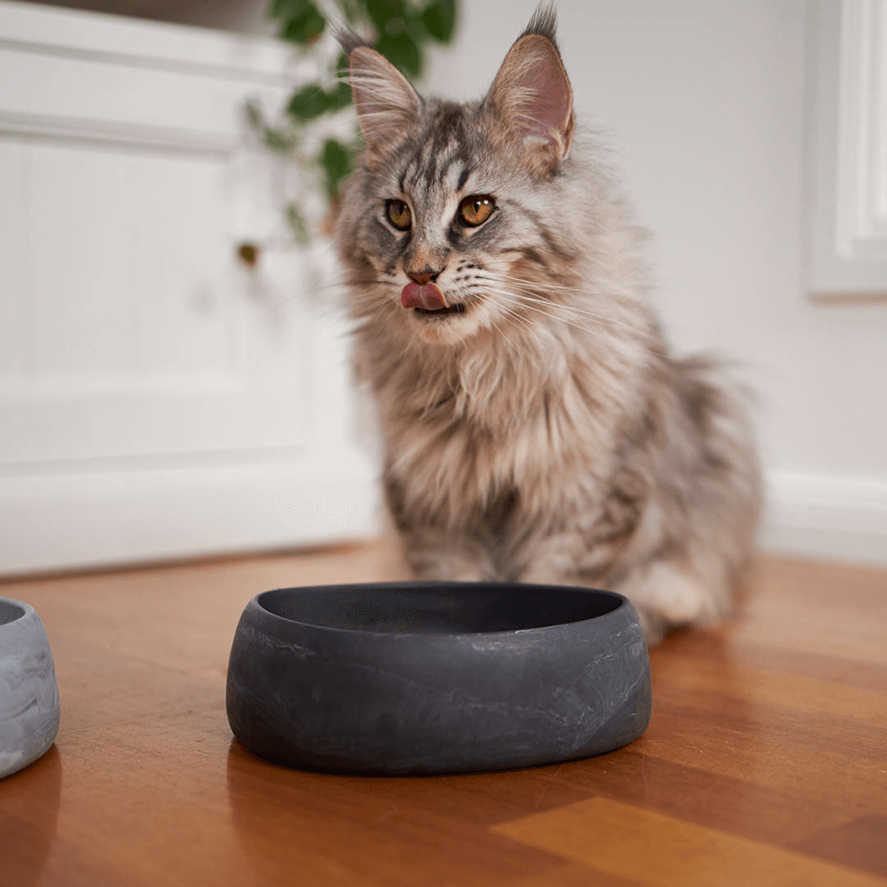 The Better Bowl Australian Recycled Plastic Dog Bowl Charcoal 8 The Better Bowl Australian Recycled Plastic Dog Bowl Charcoal